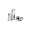Galvanized Decorative Flange Cap Nut for Motorcycle Cylinder Head (M5/M6/M8)