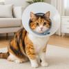 Breathable Pet Protective Collar Bite Resistant Transparent Anti-Bite Collar Anti-Scratch Adjustable Cat Anti Lick Cover