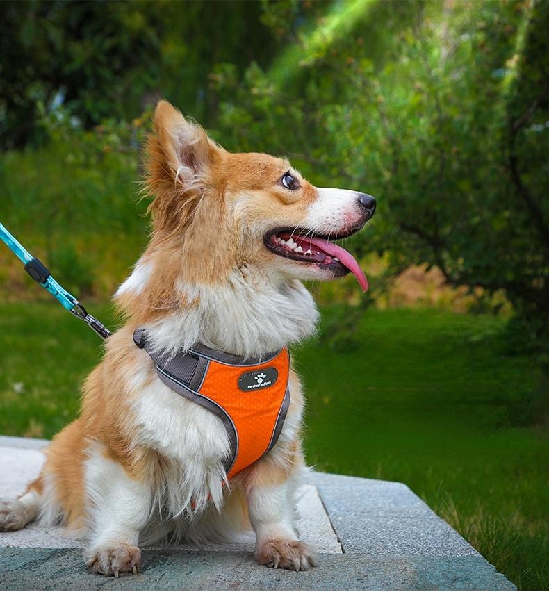 Astro Orange Dog Training Harness For Walking, Size S