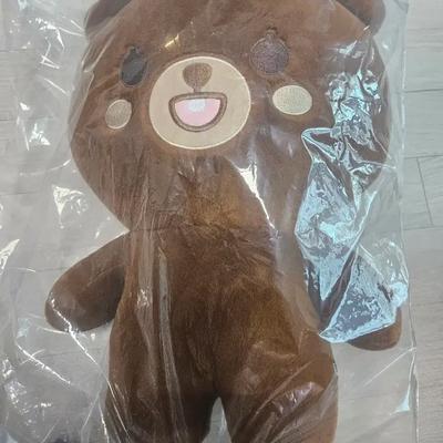 DAY6 Giant Ppeumul Doll
