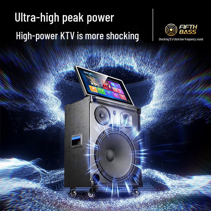 SAST All-in-One Karaoke System with 12-inch Bass Speaker CN plug (adapter included)