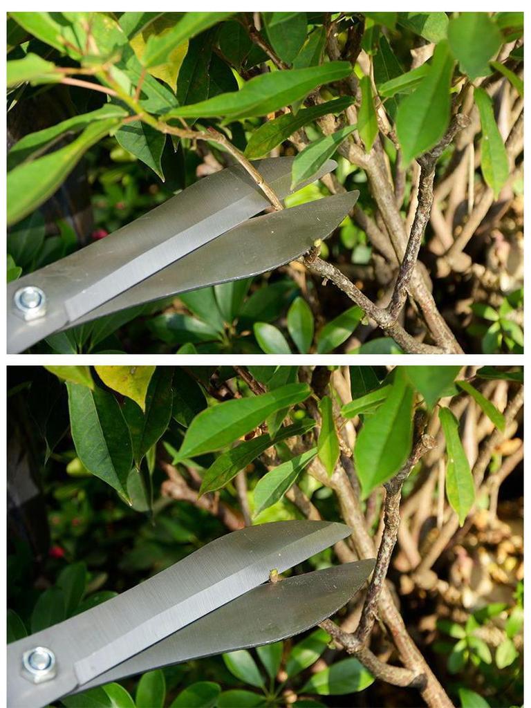 Verlängerte Gartenschere: Scharfe Gartenschere für Blumen, Gras und Äste