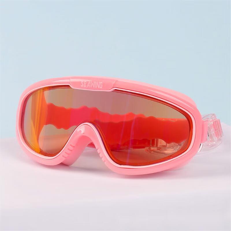 Alliance Envoy Large Frame Anti-Fog Swimming Goggles