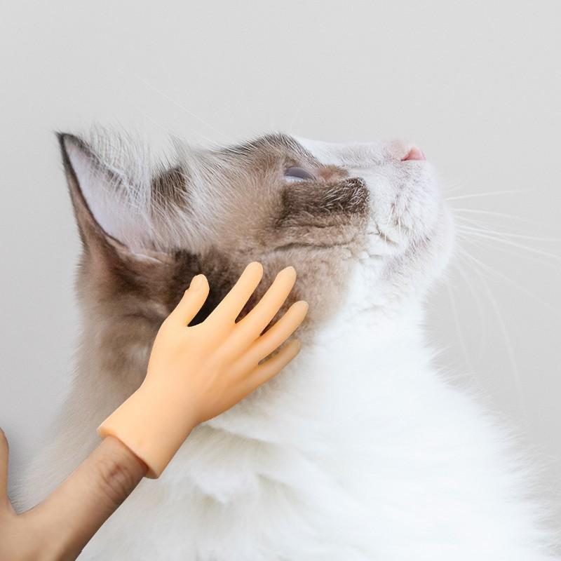 cat hand toy