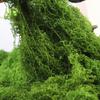 Polyester Artificial Moss Plants DIY Craft No Fading Faux Preserved Moss Realistic Texture No Watering Simulation Green Moss