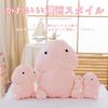 1 Piece Stuffed Toy Cushion Hug Pillow Cute Hug Pillow Fluffy Toy Celebration Fluffy Stuffed Toy 15cm