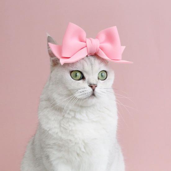 Pet Headdress Princess Style Ultra-Light Elastic Friendly to Skin Easy-wearing Dress Up