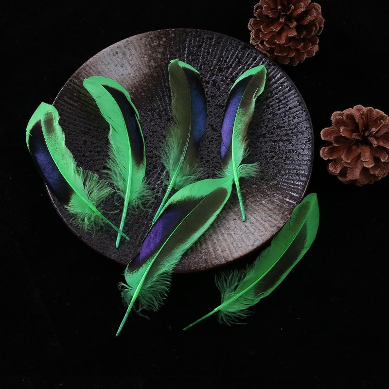 Pene de rață colorate pentru lucrare de ac cu pene naturale Captorul de vise Bricolaj Artizanat Accesorii Artizanat Decorare nuntă