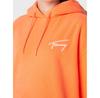 Флис Tommy Jeans Signature