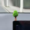 Mini Money Tree Car Interior Ornament Car Mounted Green Plant Accessories Center Console Decorations for Car Home Decoration