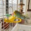 Bissfester Papageien-Beißstab Rutschfester Papageien-Sitzstock Vogel-Sitzstange Kleinvögel