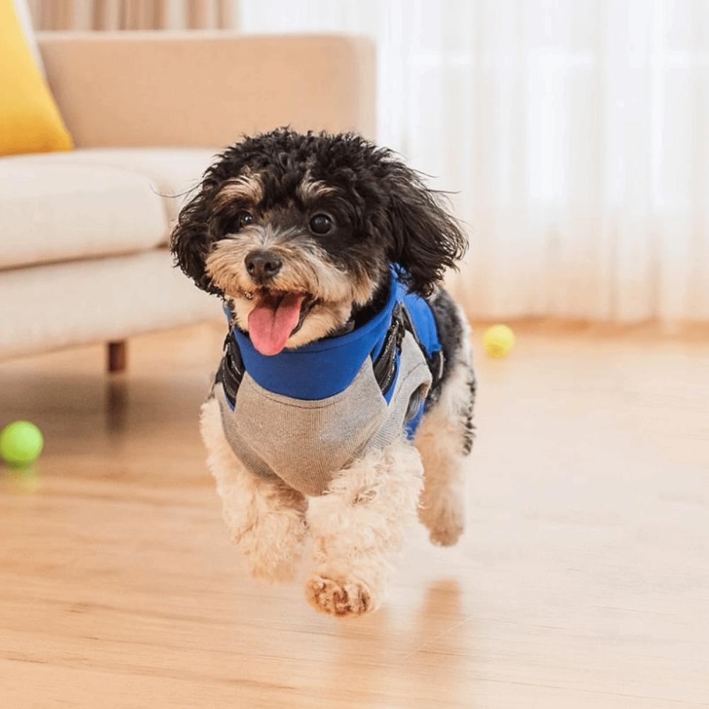 Puppy Outfit Adjustable Dogs Down Clothes Warm Windproof Winter Dog Clothes Soft with Harness Dog Coat Winter
