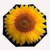Golden Sunflower Design Wall Clock, Brighten Your Space with Style Umbrella, Cute Umbrella with Cute Design, Portable 3-Fold Compact Umbrella for Men