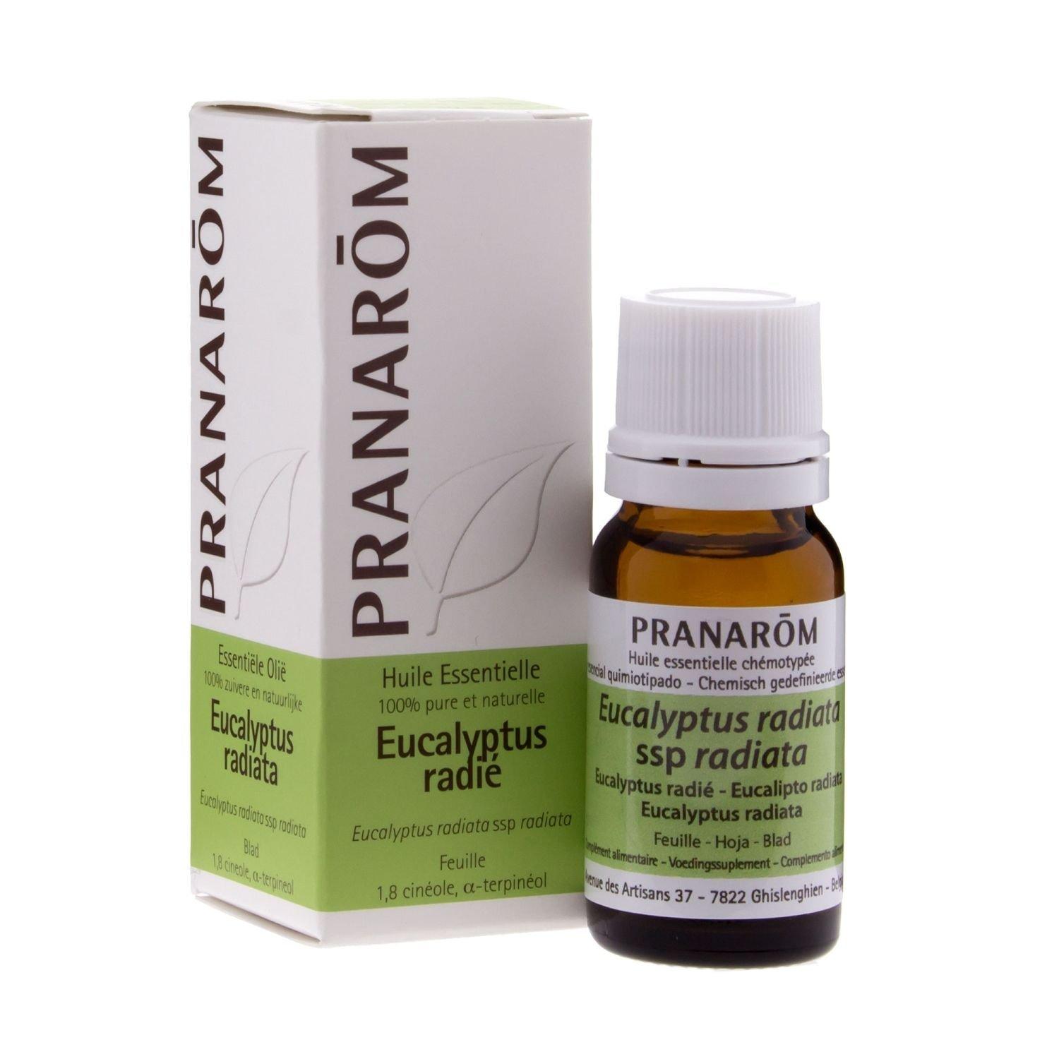 

PRANAROM Eucalyptus Radiata 10 мл Chemotype Essential (Масло ПРАНАРОМ) [Продукт]