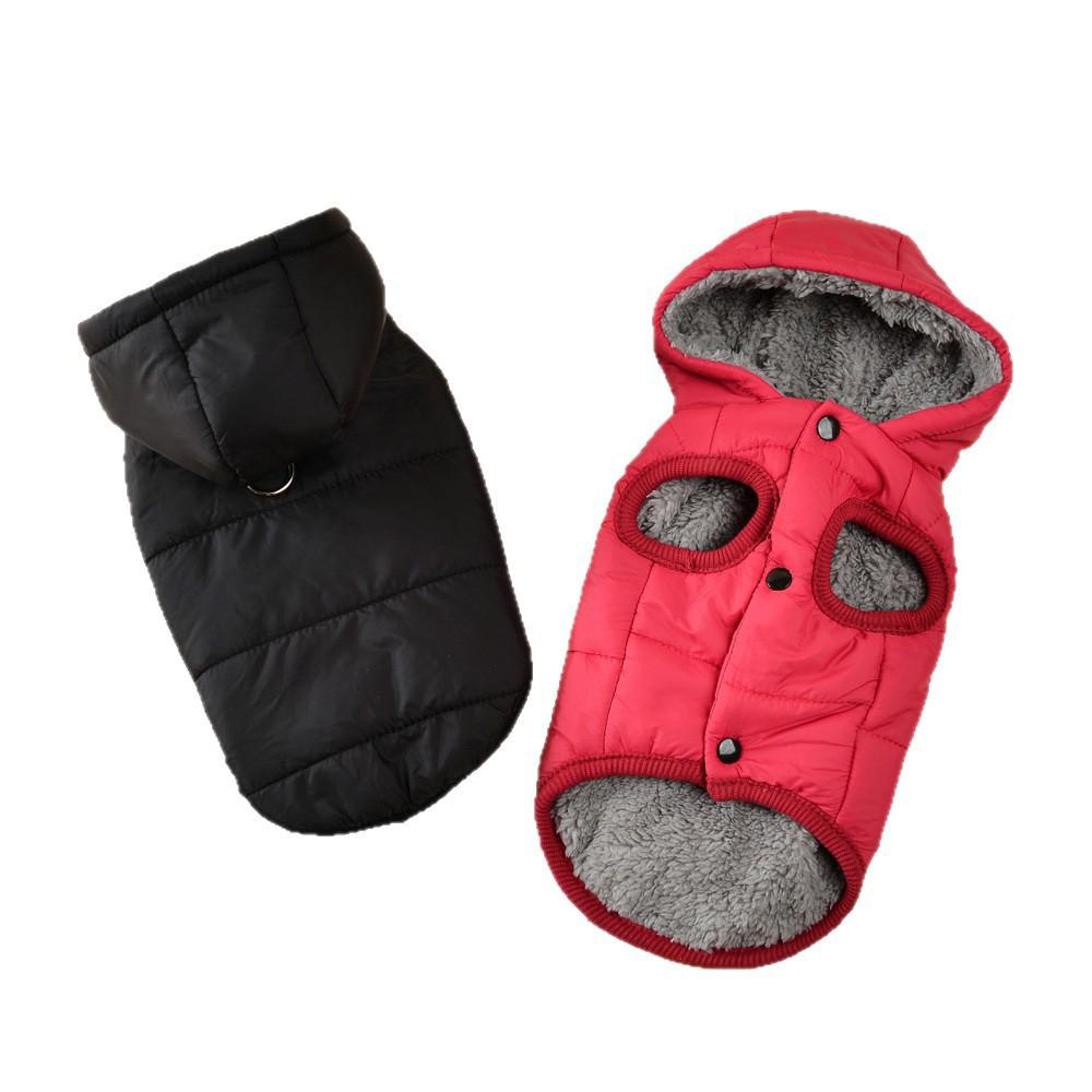 Windproof Hooded Jacket for Small Dogs – Autumn & Winter Pet Wear