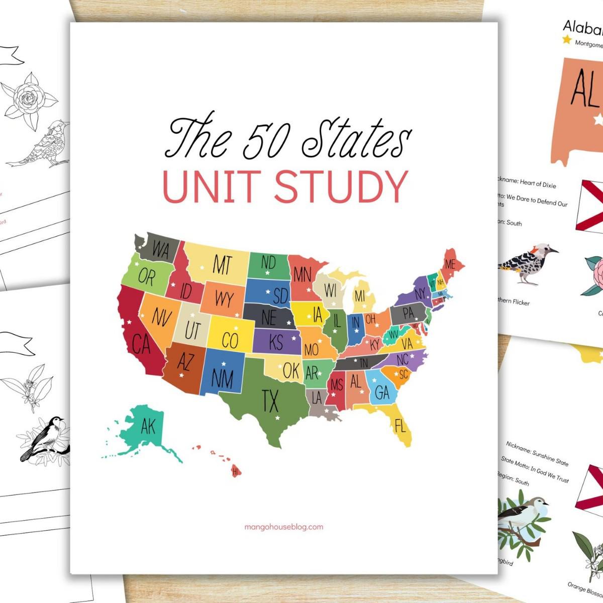 50 States Geography Practice Book for Kids 28.5x20.1x0.6 белый