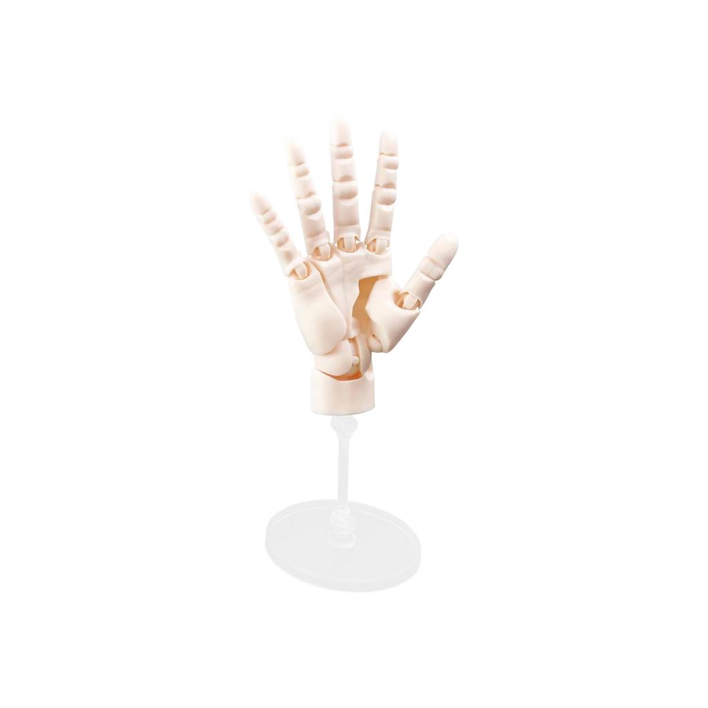 Flexible Artists Hand Model, Adjustable Hand Model For Drawing, Lively Manikin Figure Hand Model For Desk Decoration, Sketching, Drawing, Painting