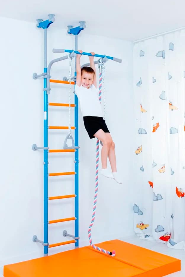 Wallbarz Family gymnastics ladder