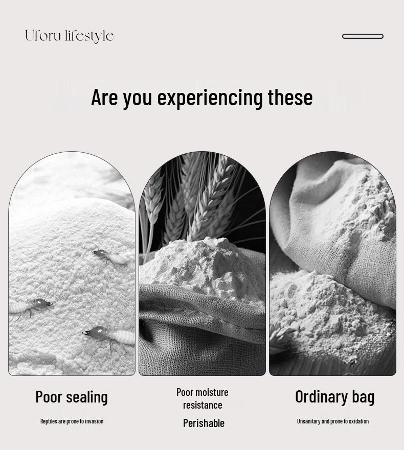 Insect-Proof, Moisture-Proof Rice and Flour Storage Container