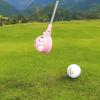 Two-Sided Telescopic Golf Ball Retriever Adjustable Stainless Ball Grabber  Golf Accessories
