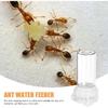 2 Pcs Transparent Ant Feeding Boxes for Indoor Use Ant Feeding Containers with Ant Ideal Ant Feeder Station