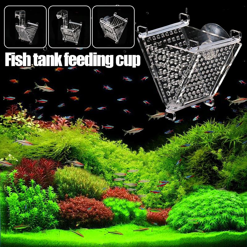 Fish Acrylic Red Bloodworm Feeding Cup Aquarium Cone Nematode Feeder Fish Funnel Feeding Ring Detachable Fish Tank Accessories