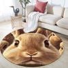 Rabbit pattern round rug,Carpet Rug for Living Room Bedroom Playroom ,Non-slip Floor Mat,Holiday Gifts and Birthday Gifts.
