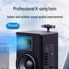 SANSUI TE06 8-inch Portable Karaoke Speaker (CN Version)