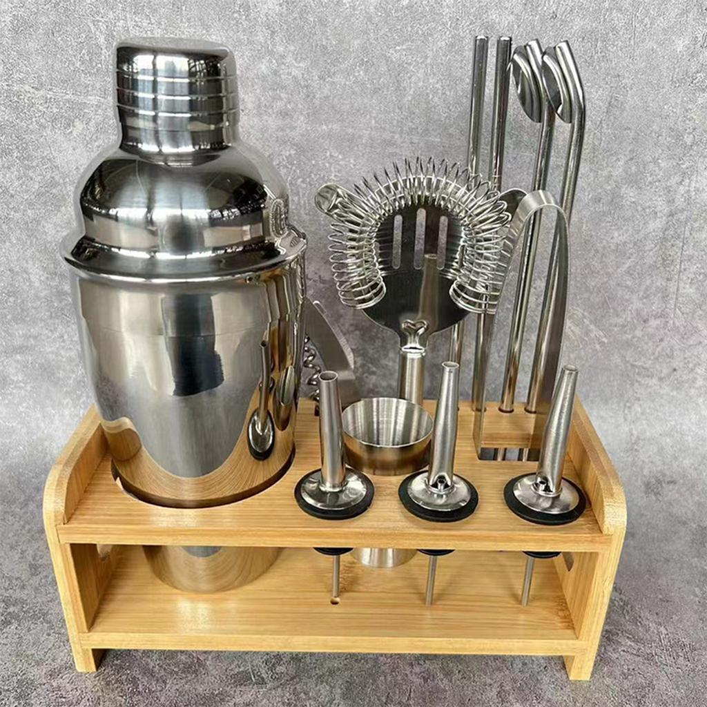 13 Piece Stainless Steel Cocktail Shaker Set,Bar Tool Kit for Home and Party
