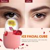 Ice Face Roller, DIY Face Massage Roller, Facial Ice Roller for Face, Eyes & Joints, Ice Compress Skin Care Tool for Women & Men