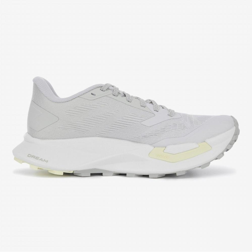 The North Face Men S Vectiv enduriS 4 Light Gray nS97r52b