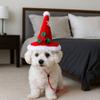 Cute Pet Christmas Hat Adjustable Pet Party Hat Delicate Festive Pet Hat  Holiday Photos