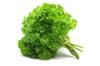 500 Curly Parsley Seeds - Aromatic Plant - Reproducible Peasant Seeds - Semiwild