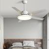 Modern Minimalist Ceiling Fan with Five Stainless Steel Blades, LED Light, Low Noise, and Frequency Conversion for Living Room or Dining Room.