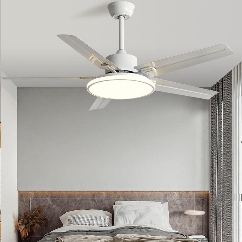 Modern Minimalist Ceiling Fan with Five Stainless Steel Blades, LED Light, Low Noise, and Frequency Conversion for Living Room or Dining Room.