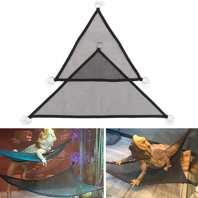 Reptiler – Terrarium