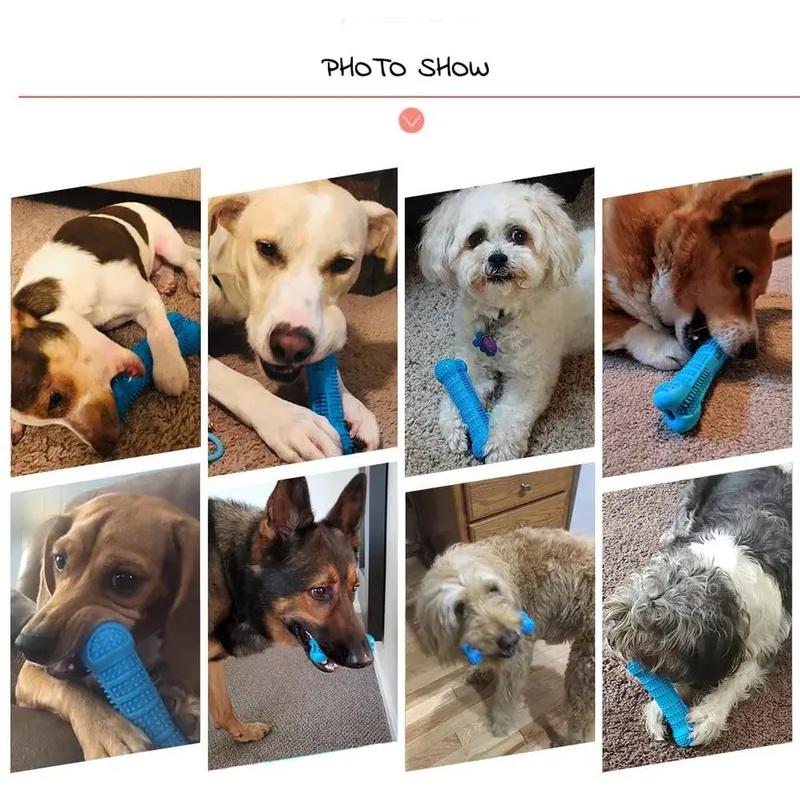Dental Chew Toys for Dogs Puppy Bone Shape Molar Sticks Tooth Cleaning Brushing Stick Toothbrush Dog Dental Care Pet Supplies