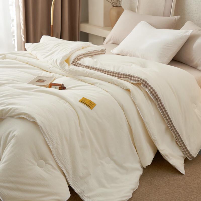 LISM All-Season Thick Soy Protein Fiber Duvet Insert