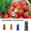 Bag Portable Professional Plant Bags Growing Flower Vegetable Greenhouse Container Garden Planter Pot Accessories