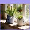 Cartoon Shark Ceramic Flower Pot With Handcrafted Design For Home Office Decor