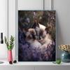 Two Siamese cats Pattern  3pcs 100% Round Full Drill 5D DIY Diamond Painting Embroidery Cross Stitch Rhinestone Décor