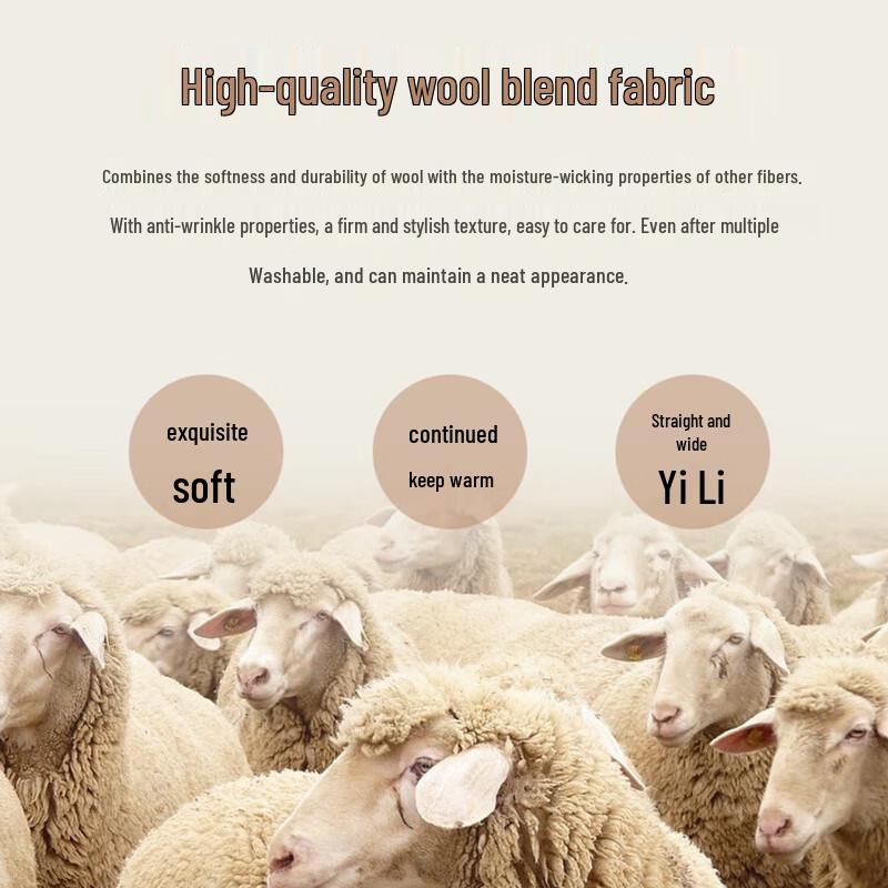 TRIES Men's Slim Fit Wool Blend Business Blazer