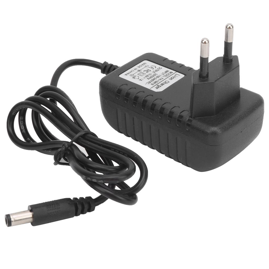 16.8V 1A Lithium Battery Charger PC Multi?Protection Charging Adapter