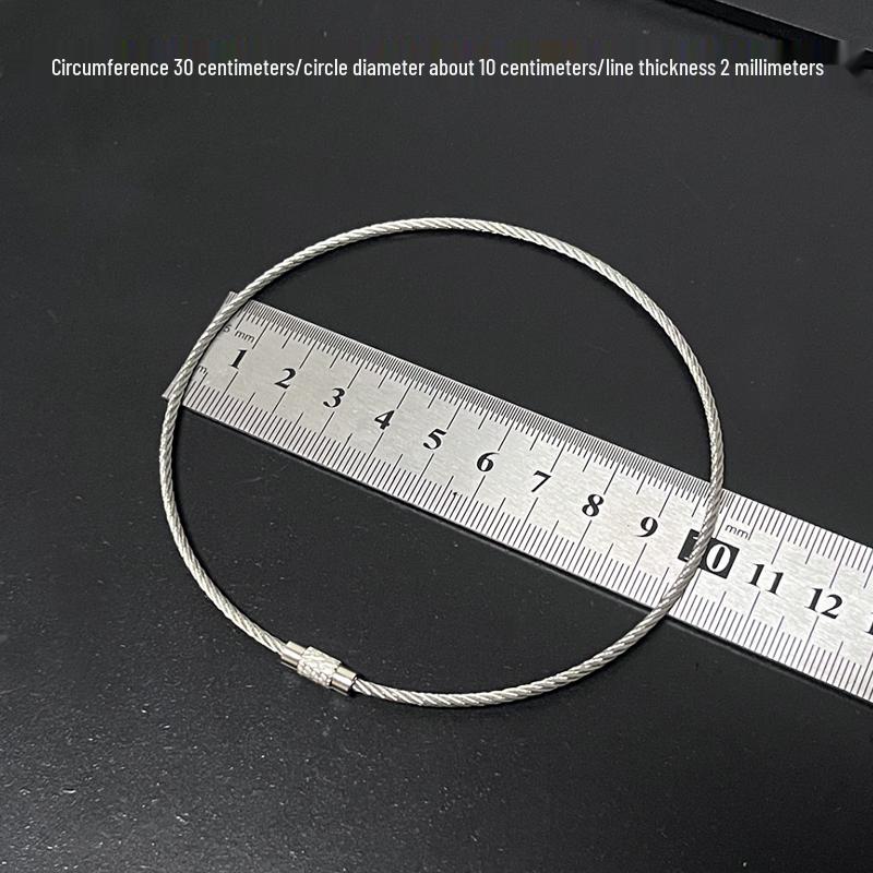 Multipurpose Steel Wire Key Chain with Anti-Lost Buckle and Storage Ring