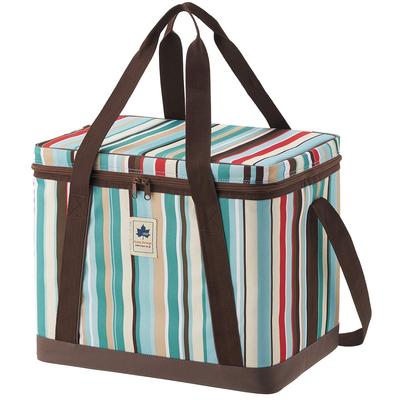 Antibacterial Design Cooler 37 Blue Stripe 81670681 Cooler Box Folding