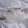 Five-Star Hotel Winter & Spring Down Comforter - Non-Down Duck Feather Core