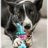 Indestructible Dog Chew Bone Toy for Aggressive Chewers - Durable Thermoplastic Rubber with Geometric Pattern, Teeth Cleaning