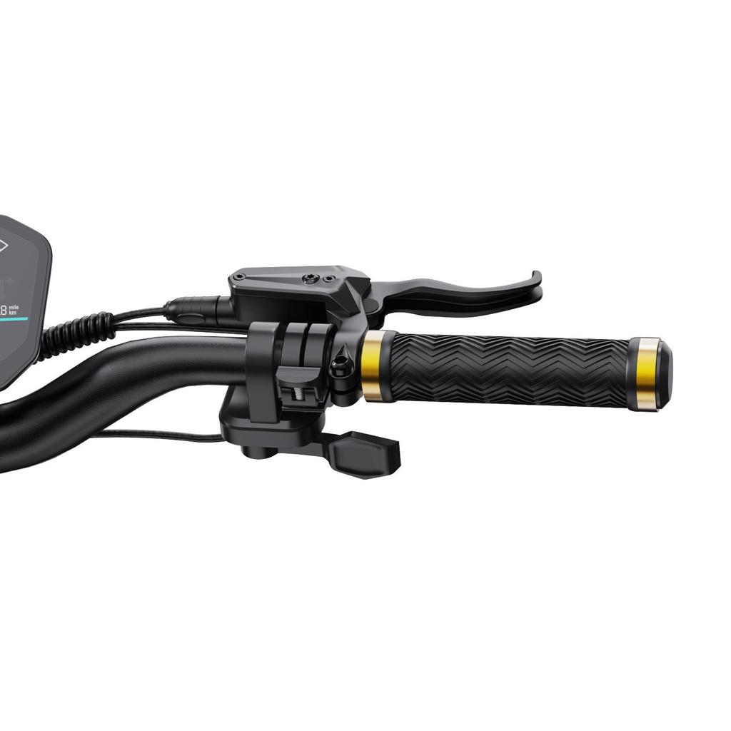 Electric Scooter Foldable OOTD S30 10" 1200Wx2 Motor 23.4AH Range 60Km Load 120Kg Black