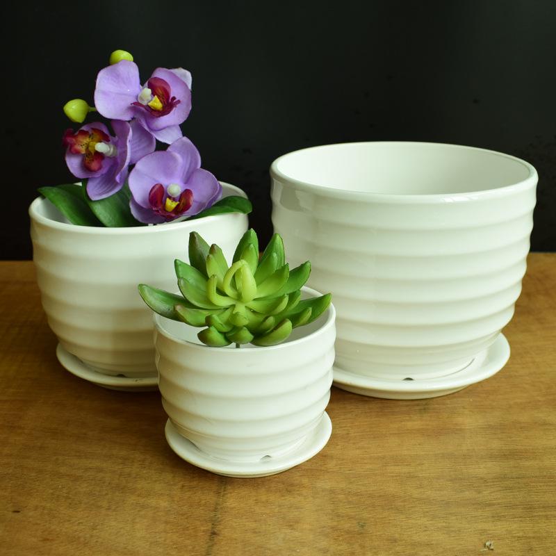 Innovative Hanging Resin Succulent Pot - Ground 001