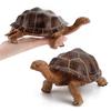 Figurine Statique Modèle Tortue Terrestre en PVC pour Enfants avec Design Réaliste pour Collectionneurs et Enfants